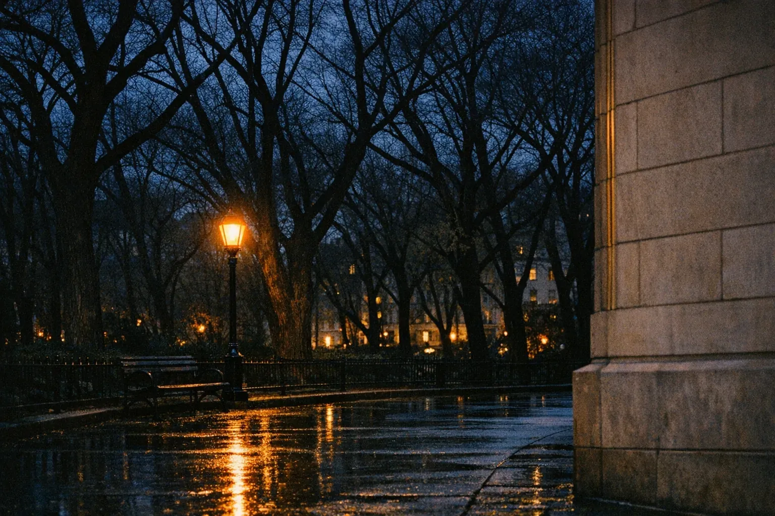 Pre-dusk park edge, bare-branched tree silhouettes, warm streetlight glow (AI conceptual reference)