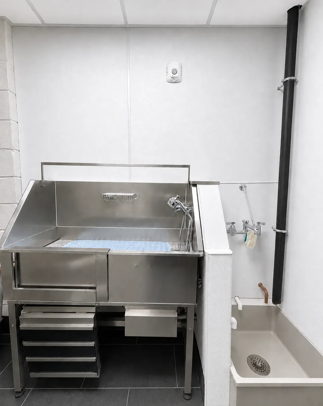 On-site dog wash station at The Ranstead