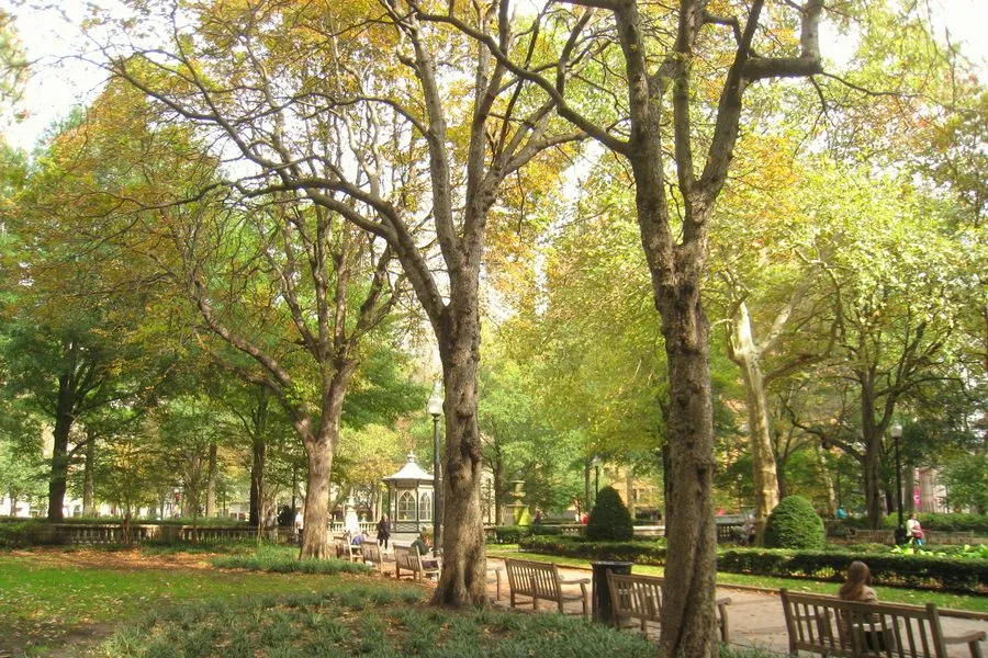 Parks + Outdoors