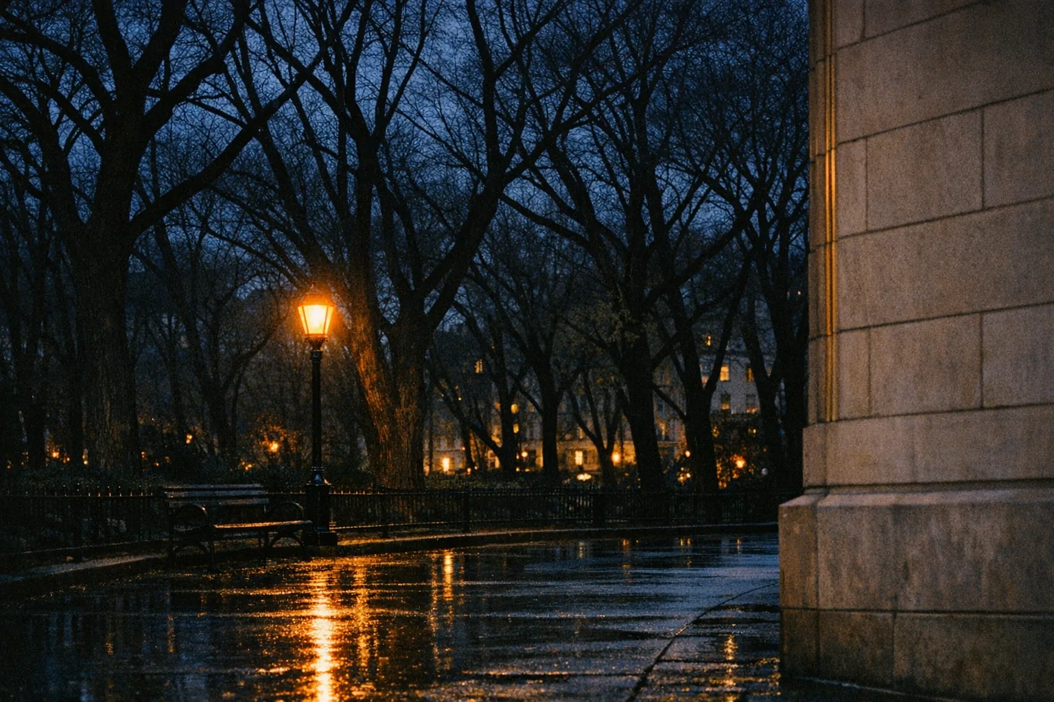 Pre-dusk park edge, bare-branched tree silhouettes, warm streetlight glow (AI conceptual reference)